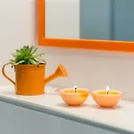 Πανσιόν Coloured