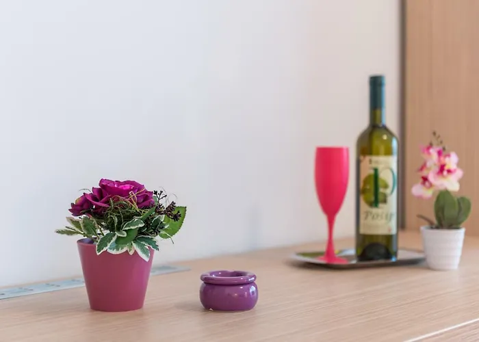 Gasthuis Coloured Split